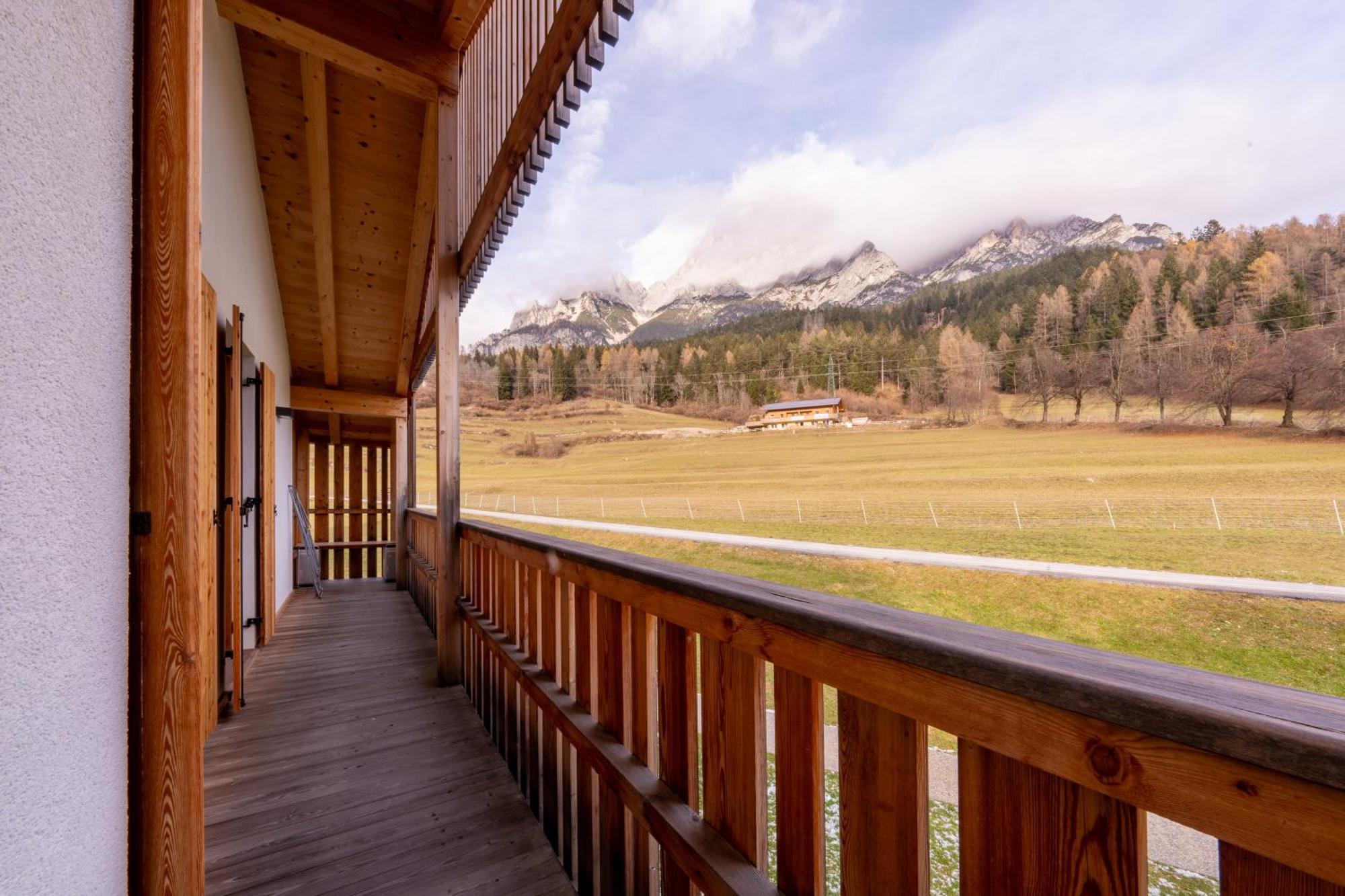 Greenwood Chalet - Spacious Alpine Retreat With Mountain Views Vodo Cadore Exterior foto